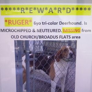 Meet your Posher, Kymberly